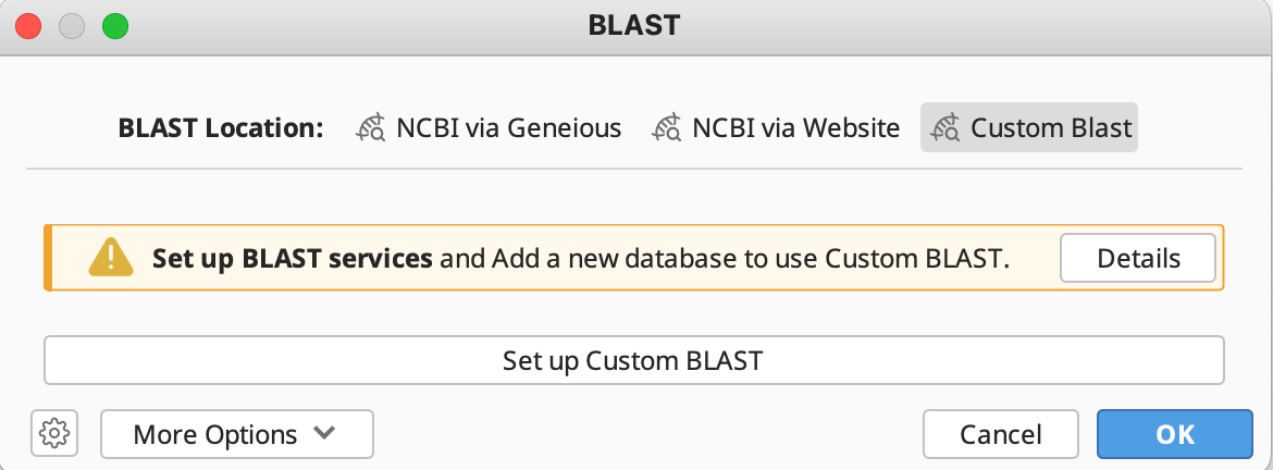 custom BLAST setup
